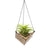 Air Plant Holder - Hemicube Free Hanging Planter / Unique Plant Hanger // Handmade Wood Home Decor Display Plant Lover Gift Idea Living Art
