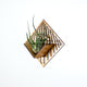 Air Plant Holder - Quadrate Wall Planter 1 / Mounted Plant Hanger Display // Handmade Wood Home Decor Plant Lover Gift Idea Art Tillandsia