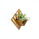 Air Plant Holder - Quadrate Wall Planter 2 / Mounted Plant Hanger Display // Handmade Wood Home Decor Plant Lover Gift Idea Art Tillandsia
