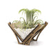 Air Plant Holder - Desktop Planter / Unique Plant Display // Terrarium Handmade Wood Home Table Shelf Desk Decor Gift Idea for Plant Lover