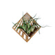 Air Plant Holder - Quadrate Wall Planter 4 / Mounted Plant Hanger Display // Handmade Wood Home Decor Plant Lover Gift Idea Art Tillandsia