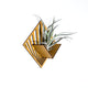 Air Plant Holder - Quadrate Wall Planter 5 / Mounted Plant Hanger Display // Handmade Wood Home Decor Plant Lover Gift Idea Art Tillandsia