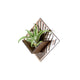 Air Plant Holder - Quadrate Wall Planter 6 / Mounted Plant Hanger Display // Handmade Wood Home Decor Plant Lover Gift Idea Art Tillandsia