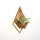 Air Plant Holder - Wall Hanging Planter 1 / Mounted Display Hanger // Handmade  Wood Wall Home Decor Plant Lover Gift Idea