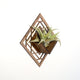 Air Plant Holder - Wall Hanging Planter 2 / Mounted Display Hanger // Handmade Wood Wall Home Decor Plant Lover Gift Idea