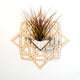 Air Plant Holder - Wall Hanging Planter 3 / Mounted Display Hanger // Handmade Geometric Wood Wall Home Decor Plant Lover Gift Idea Star
