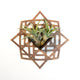 Air Plant Holder - Wall Hanging Planter 3 / Mounted Display Hanger // Handmade Geometric Wood Wall Home Decor Plant Lover Gift Idea Star