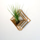 Air Plant Holder - Wall Hanging Planter 5 / Mounted Display Plant Hanger // Handmade Geometric Wood Wall Home Decor Plant Lover Gift Idea