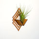 Air Plant Holder - Wall Hanging Planter 6 / Mounted Display Hanger // Handmade Modern Wood Wall Home Decor Plant Lover Gift Idea Living Art