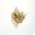 Air Plant Holder - Wall Hanging Planter 6 / Mounted Display Hanger // Handmade Modern Wood Wall Home Decor Plant Lover Gift Idea Living Art