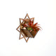 Air Plant Holder - Wall Hanging Planter 7 / Mounted Display Plant Hanger // Handmade Wood Wall Home Decor Plant Lover Gift Idea Star Art