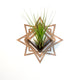 Air Plant Holder - Wall Hanging Planter 8 / Mounted Display Plant Hanger // Handmade Wood Wall Home Decor Plant Lover Gift Idea Star Living Art