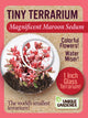 Tiny Terrarium Sedum Glass Terrarium Counter Display