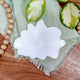 Tropical Leaves Suncatcher Sticker