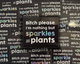  Sparkles & Plants