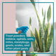 Natural Houseplant Pest Control - Peppermint Leaf Spray Tablets