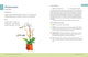 Houseplants for a Healthy Home by Jon VanZile