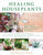 Healing Houseplants by Michelle Polk