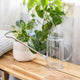  Houseplant Care + Indoor Gardens