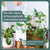 Best Houseplant Fertilizer - Instant Plant Food Tablets