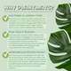 Plant Potting Mats - Large Size