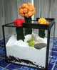 Terrariums Reimagined by Kat Geiger