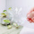 Tropical Leaves Suncatcher Sticker