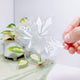 Tropical Leaves Suncatcher Sticker