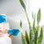 Micro-Fiber Gloves for Cleaning Houseplants + Indoor Gardens