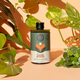 Grow Fast Acting Houseplant Food - We The Wild