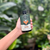 Grow Fast Acting Houseplant Food - We The Wild
