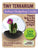 Tiny Terrarium Cactus Counter Display with 6 Varieties