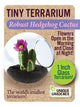 Tiny Terrarium Cactus Counter Display with 6 Varieties