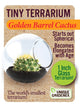Tiny Terrarium Cactus Counter Display with 6 Varieties