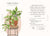 Houseplants and Their Fucked-Up Thoughts by Carlyle Christoff