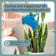 Natural Houseplant Pest Control - Peppermint Leaf Spray Tablets