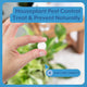 Natural Houseplant Pest Control - Peppermint Leaf Spray Tablets