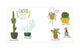Never Put a Cactus in the Bathroom by Emily L. Hay Hinsdale