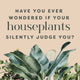 Houseplants and Their Fucked-Up Thoughts by Carlyle Christoff