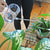  Houseplant Care + Indoor Gardens