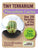 Tiny Terrarium Cactus Counter Display with 6 Varieties