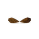 Stud Earrings // Wood  - Bolivian Rosewood