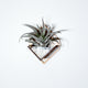 Sconce Wall Planter (small)