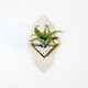 Sconce Wall Planter (large)
