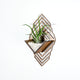 Sconce Wall Planter (large)