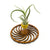 Wire Air Plant Holder 2