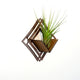 Air Plant Holder - Wall Hanging Planter 5 / Mounted Display Plant Hanger // Handmade Geometric Wood Wall Home Decor Plant Lover Gift Idea